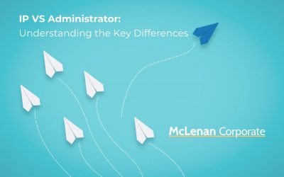IP vs Admin: Understanding the Key Differences